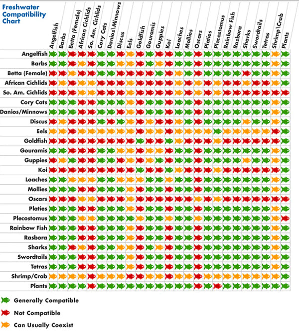 Discus Compatibility Chart